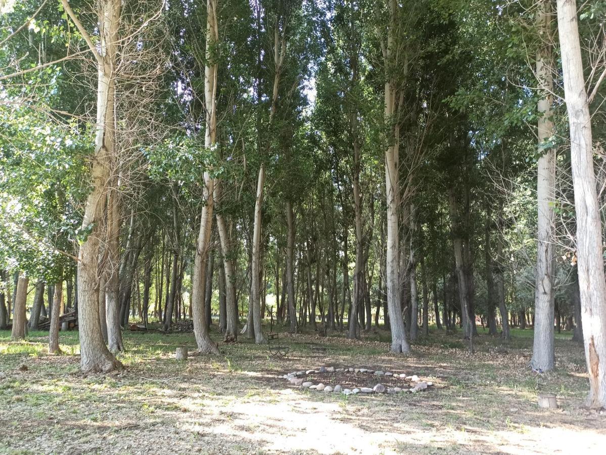 Cabana Ecologica Uspallata Exterior foto